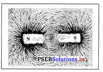 PSEB 10th Class Science Important Questions Chapter 13 विद्युत धारा के चुंबकीय प्रभाव 9
