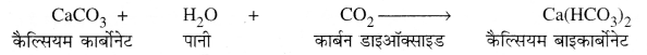 PSEB 10th Class Science Important Questions Chapter 2 अम्ल, क्षारक एवं लवण 6