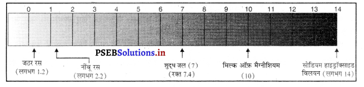 PSEB 10th Class Science Important Questions Chapter 2 अम्ल, क्षारक एवं लवण 8