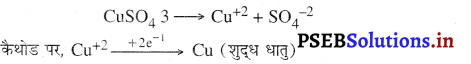 PSEB 10th Class Science Important Questions Chapter 3 धातु एवं अधातु 16