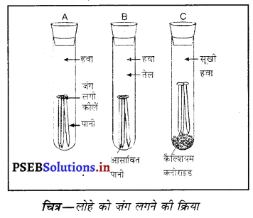PSEB 10th Class Science Important Questions Chapter 3 धातु एवं अधातु 31