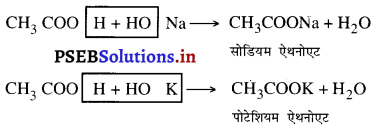 PSEB 10th Class Science Important Questions Chapter 4 कार्बन एवं उसके यौगिक 10