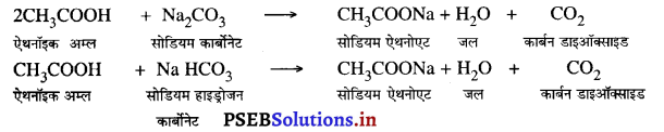 PSEB 10th Class Science Important Questions Chapter 4 कार्बन एवं उसके यौगिक 11
