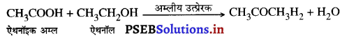 PSEB 10th Class Science Important Questions Chapter 4 कार्बन एवं उसके यौगिक 12