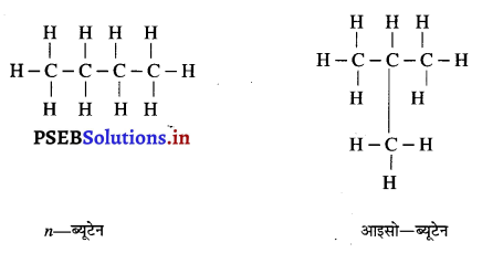 PSEB 10th Class Science Important Questions Chapter 4 कार्बन एवं उसके यौगिक 15