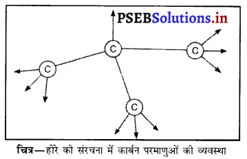 PSEB 10th Class Science Important Questions Chapter 4 कार्बन एवं उसके यौगिक 18