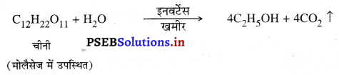PSEB 10th Class Science Important Questions Chapter 4 कार्बन एवं उसके यौगिक 32