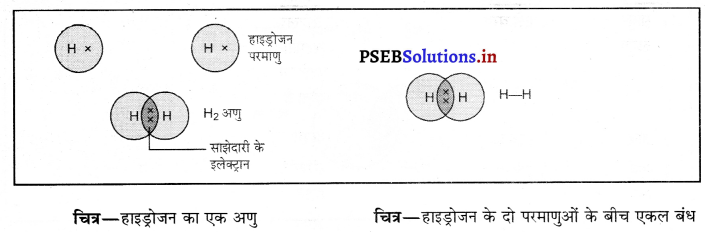 PSEB 10th Class Science Important Questions Chapter 4 कार्बन एवं उसके यौगिक 33