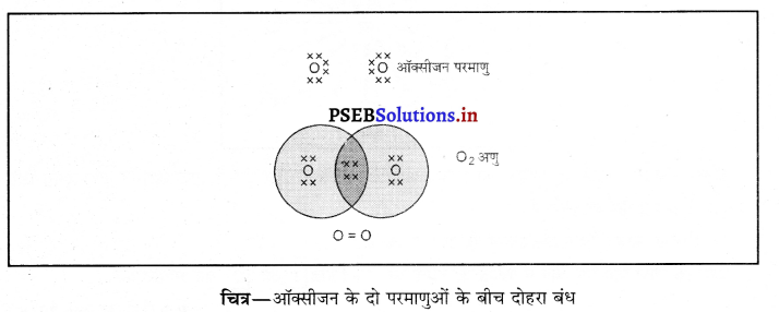 PSEB 10th Class Science Important Questions Chapter 4 कार्बन एवं उसके यौगिक 34