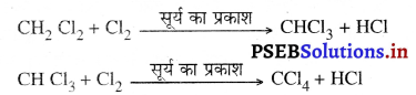 PSEB 10th Class Science Important Questions Chapter 4 कार्बन एवं उसके यौगिक 5