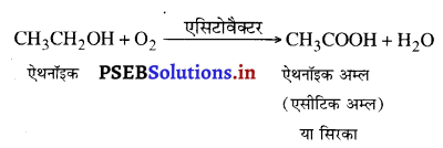PSEB 10th Class Science Important Questions Chapter 4 कार्बन एवं उसके यौगिक 9