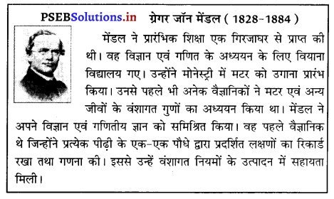 PSEB 10th Class Science Important Questions Chapter 9 आनुवंशिकता एवं जैव विकास 3