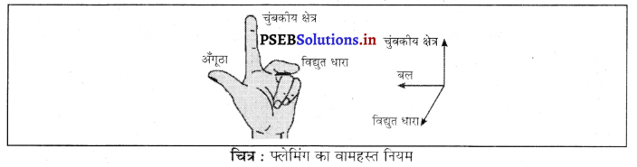 PSEB 10th Class Science Solutions Chapter 13 विद्युत धारा के चुंबकीय प्रभाव 12