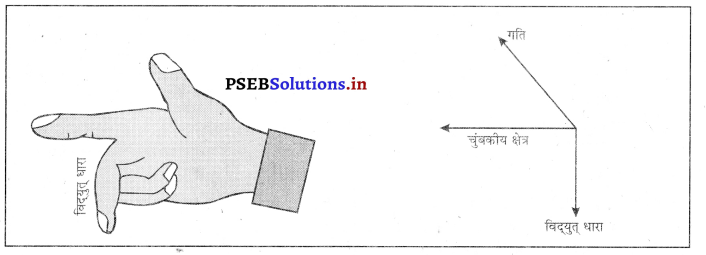 PSEB 10th Class Science Solutions Chapter 13 विद्युत धारा के चुंबकीय प्रभाव 5