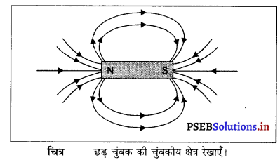 PSEB 10th Class Science Solutions Chapter 13 विद्युत धारा के चुंबकीय प्रभाव 8