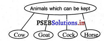 PSEB 3rd Class EVS Solutions Chapter 10 Family and Animals 4