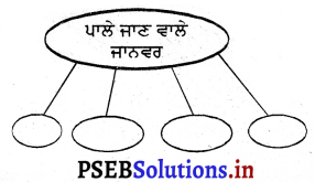 PSEB 3rd Class EVS Solutions Chapter 10 ਪਰਿਵਾਰ ਅਤੇ ਜਾਨਵਰ 3
