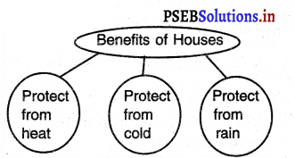 PSEB 3rd Class EVS Solutions Chapter 11 Our House 5