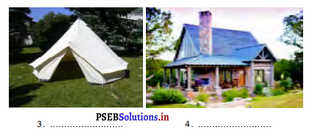 PSEB 3rd Class EVS Solutions Chapter 11 हमारा आवास 3