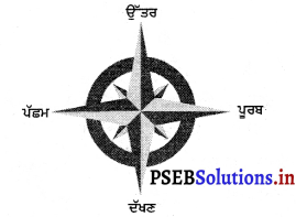 PSEB 3rd Class EVS Solutions Chapter 12 ਸਾਡਾ ਆਂਢ-ਗੁਆਂਢ 2