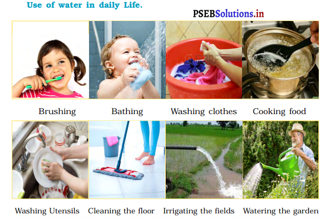 PSEB 3rd Class EVS Solutions Chapter 13 Water - Basis of Our Life 1