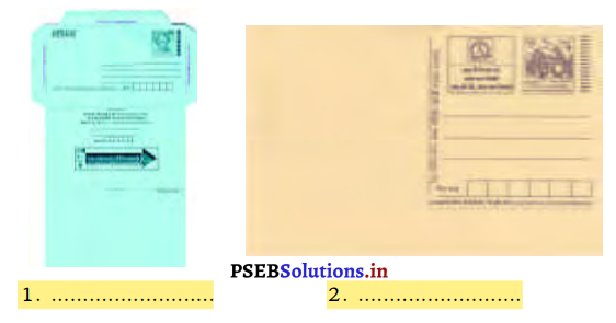 PSEB 3rd Class EVS Solutions Chapter 16 Message of Pankhuri 1