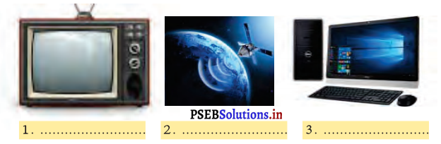 PSEB 3rd Class EVS Solutions Chapter 16 ਪੰਖੁੜੀ ਦਾ ਸੰਦੇਸ਼ 3