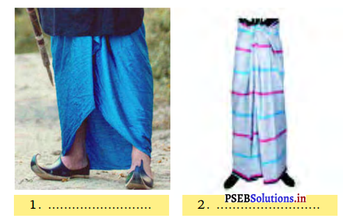 PSEB 3rd Class EVS Solutions Chapter 17 Flowers on Frock 2