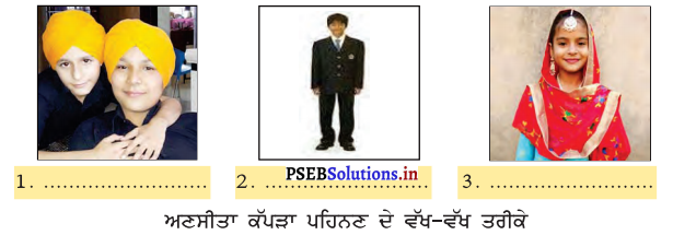 PSEB 3rd Class EVS Solutions Chapter 17 ਫੁੱਲਾਂ ਵਾਲੀ ਫ਼ਰਾਕ 1