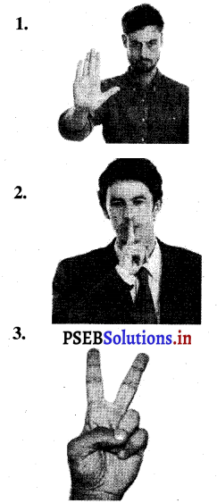 PSEB 3rd Class EVS Solutions Chapter 2 When Grandfather was Young 1