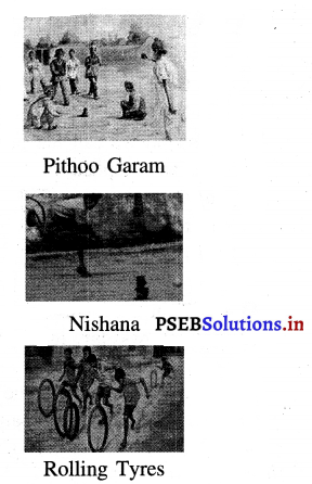 PSEB 3rd Class EVS Solutions Chapter 4 Let us Play 3