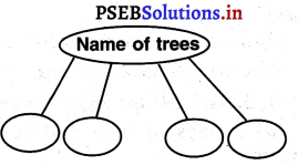PSEB 3rd Class EVS Solutions Chapter 5 Plants - Our Friends 4