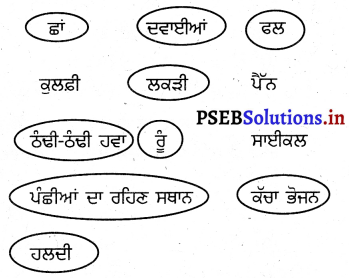 PSEB 3rd Class EVS Solutions Chapter 5 ਪੌਦੇ-ਸਾਡੇ ਮਿੱਤਰ 5