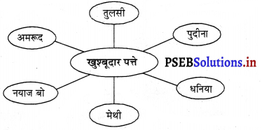 PSEB 3rd Class EVS Solutions Chapter 6 रंग-बिरंगे पत्ते 4