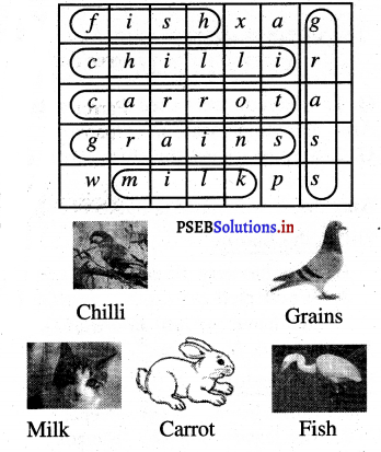 PSEB 3rd Class EVS Solutions Chapter 7 Animals An Introduction 1