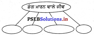 PSEB 3rd Class EVS Solutions Chapter 7 ਜੰਤ-ਇਕ ਜਾਣ-ਪਹਿਚਾਣ 4