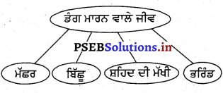 PSEB 3rd Class EVS Solutions Chapter 7 ਜੰਤ-ਇਕ ਜਾਣ-ਪਹਿਚਾਣ 5