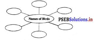PSEB 3rd Class EVS Solutions Chapter 8 The World of Birds 5