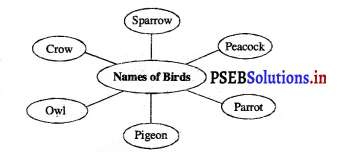 PSEB 3rd Class EVS Solutions Chapter 8 The World of Birds 6