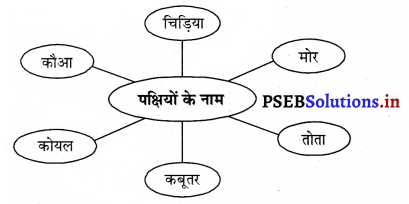 PSEB 3rd Class EVS Solutions Chapter 8 पक्षियों का संसार 7