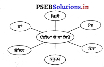 PSEB 3rd Class EVS Solutions Chapter 8 ਪੰਛੀਆਂ ਦੀ ਦੁਨੀਆ 7