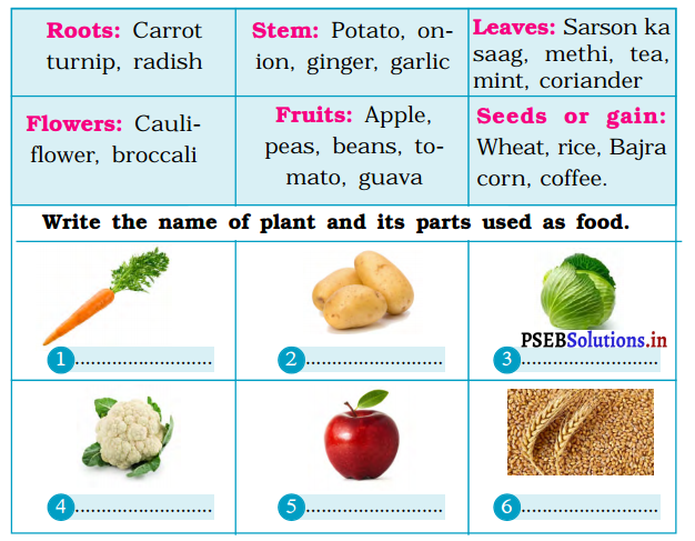 5th Class Evs Solutions In English