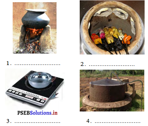 PSEB 3rd Class EVS Solutions Chapter 9 Let us Cook and Eat Food 6