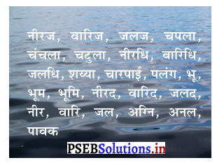 PSEB 3rd Class Hindi Solutions Chapter 13 किसान 2