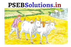 PSEB 3rd Class Hindi Solutions Chapter 2 अपना काम स्वयं करो 2