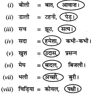 PSEB 3rd Class Hindi Solutions Chapter 5 कोयल 2