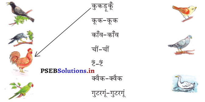 PSEB 3rd Class Hindi Solutions Chapter 5 कोयल 3