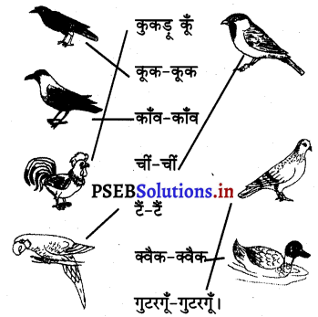 PSEB 3rd Class Hindi Solutions Chapter 5 कोयल 4