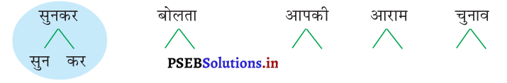 PSEB 3rd Class Hindi Solutions Chapter 6 ऐनकू 1
