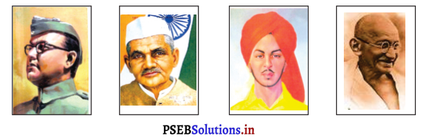 PSEB 3rd Class Hindi Solutions Chapter 7 बालक सुभाष 2